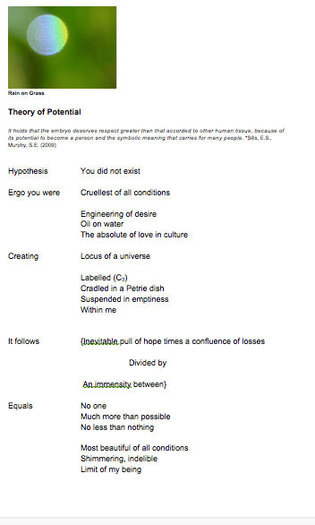 Theory of Potential Blog
