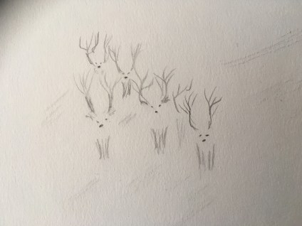 Reindeer sketch