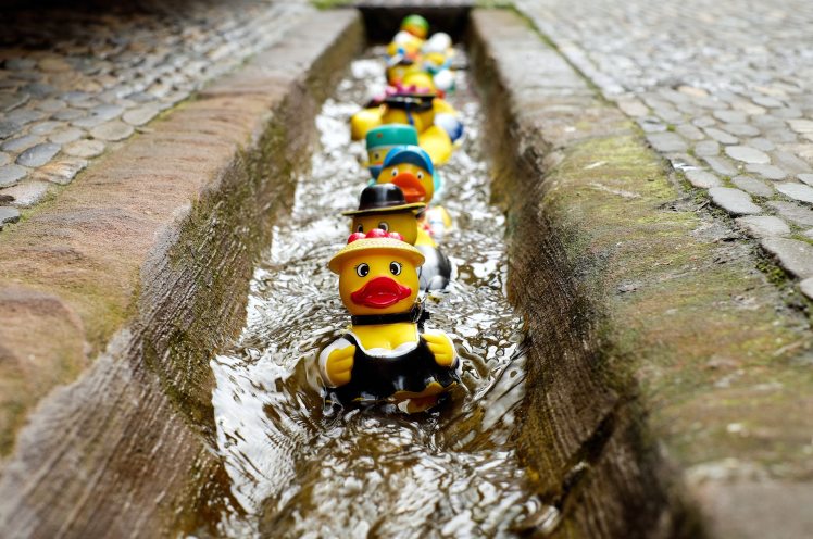 bath-ducks-blur-colorful-106144
